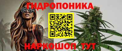 бошки Кимры