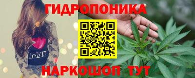 spice Кингисепп