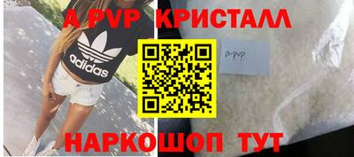 бошки Кимры