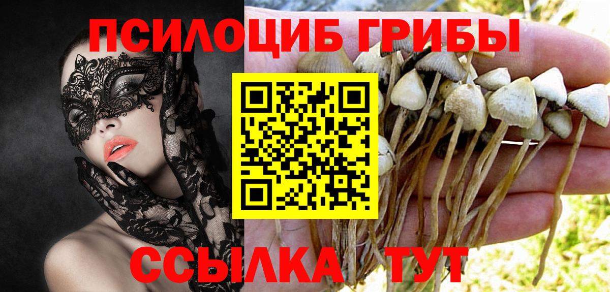 Псилоцибиновые грибы ЛСД Дагестанские Огни